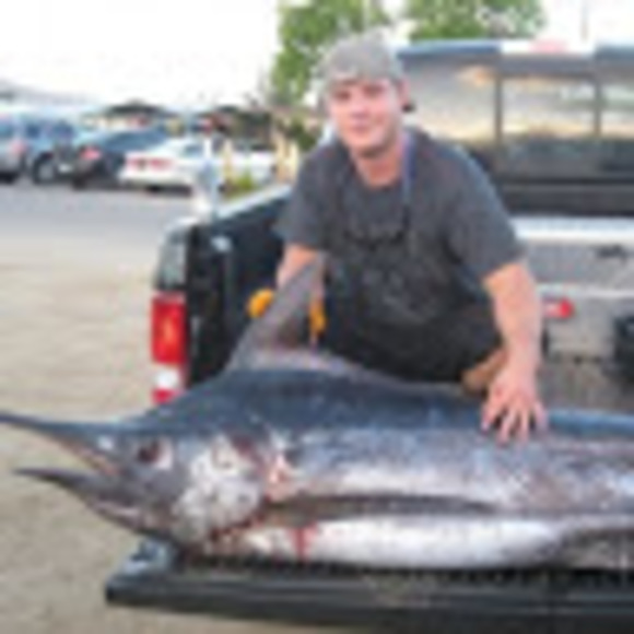 Meet your Posher, Beau - Picture 1 of 1